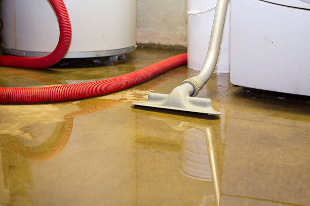 Best Flood damage cleanup  in South Duxbury, MA